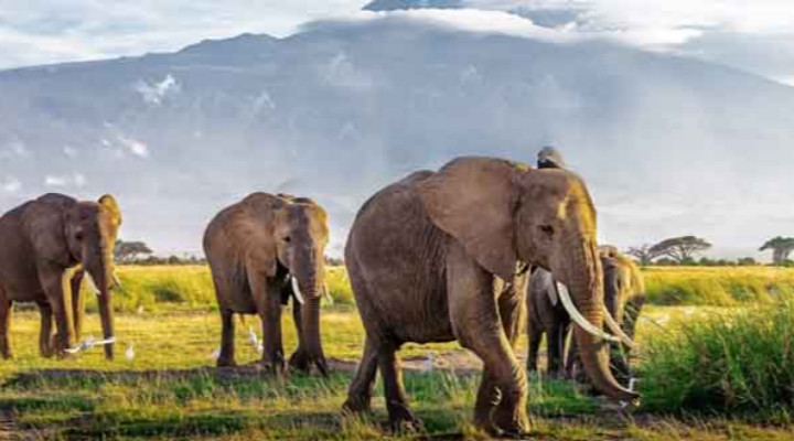 15 Best National Parks in Africa for a Rewarding Experience