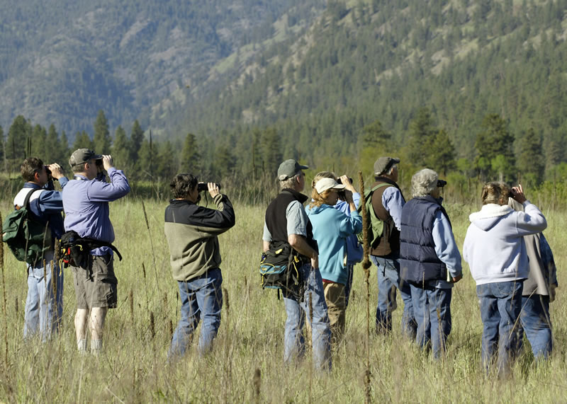 Bird watching in Armenia