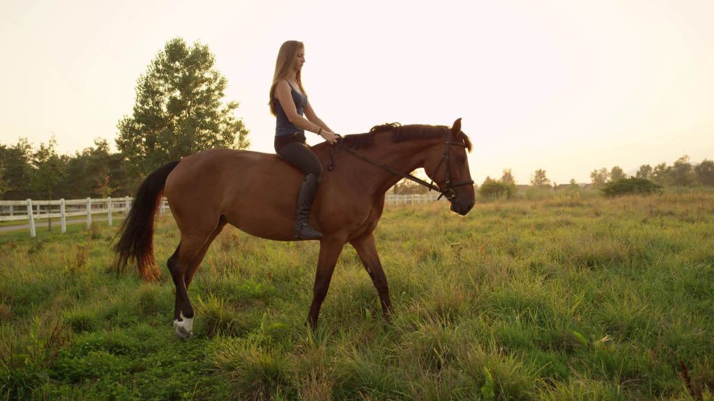 Horseback Riding in Armenia