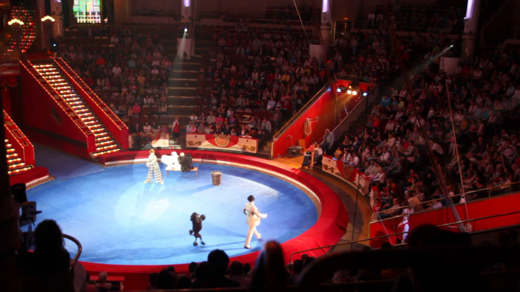 Nikulin Circus in Moscow