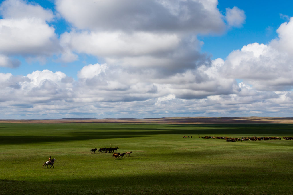 Kazakh Steppe Map