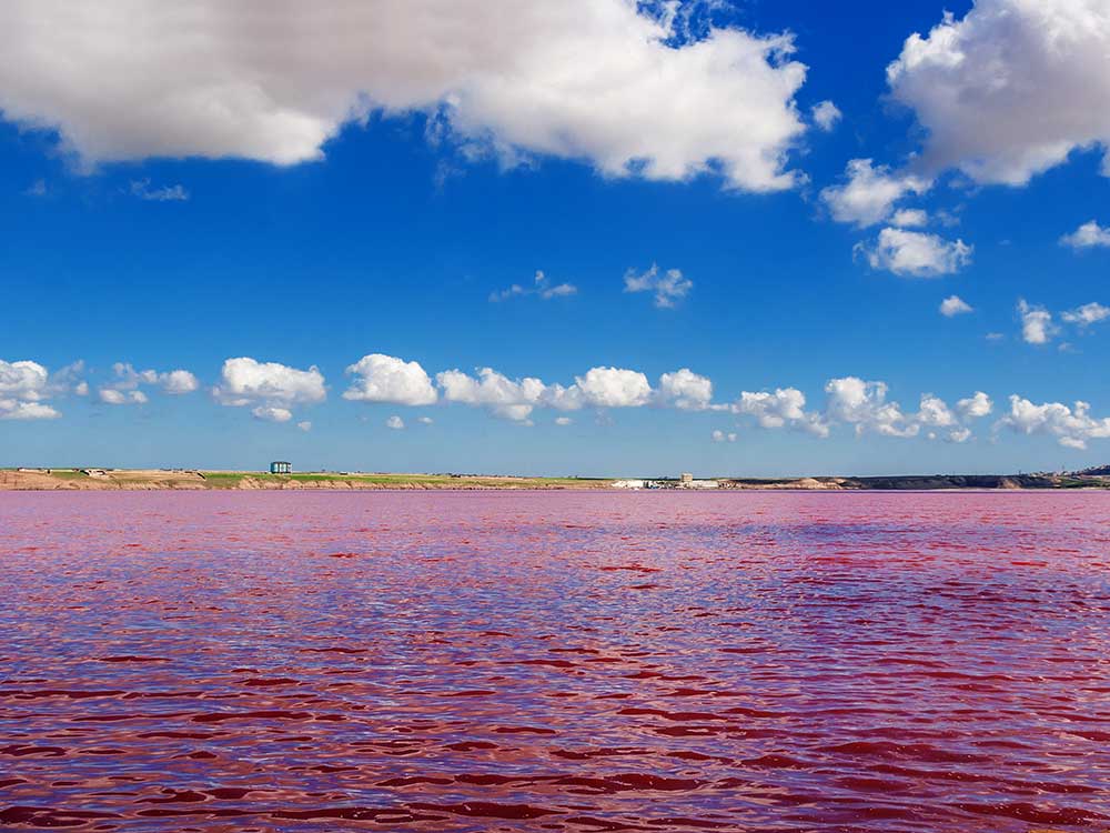 Pink Lake Baku