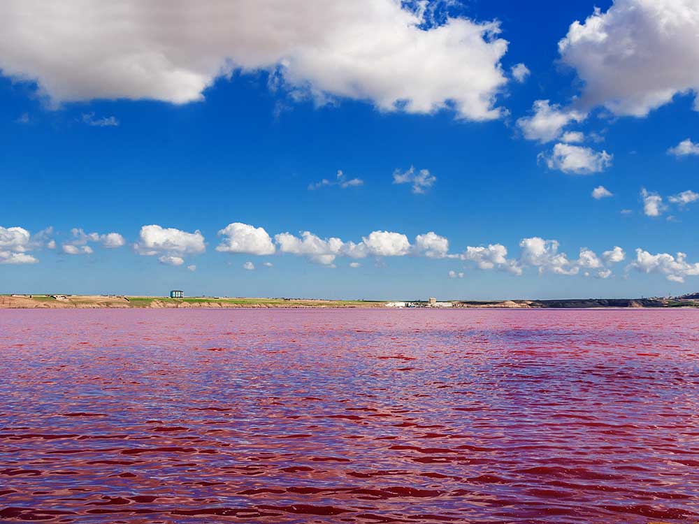 Pink Lake Azerbaijan Red Salt Lake Of Masazir Pink Lake Azerbaijan Red Salt Lake Of Masazir