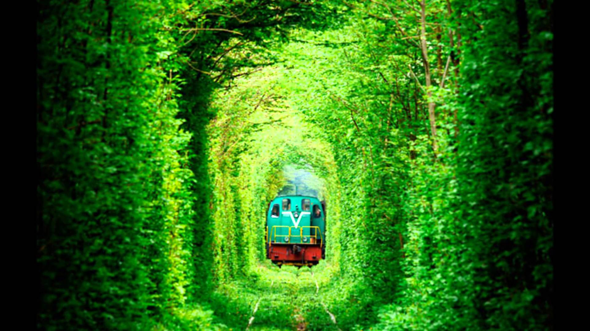 Tunnel of Love Ukraine