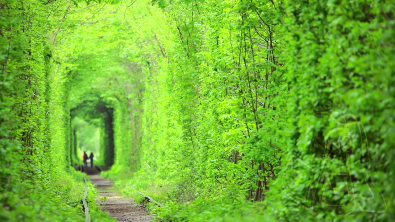 Tunnel of Love in Ukraine