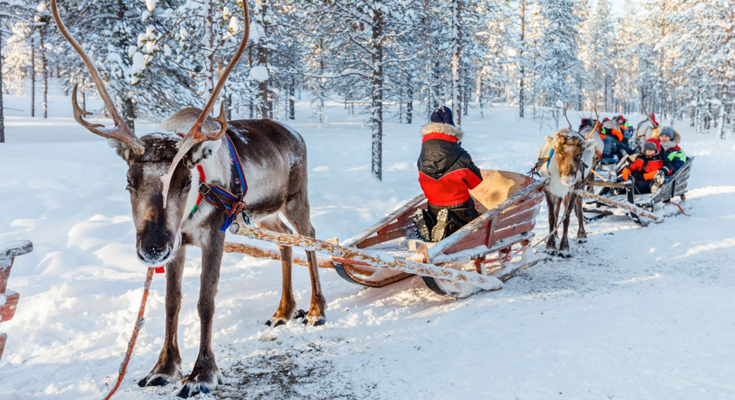 The reindeer sleighs