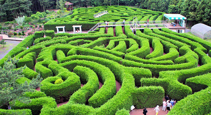 Gimnyeong Maze Park