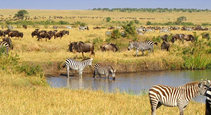 16 Best African Wildlife Safaris, Big Five Safari Africa