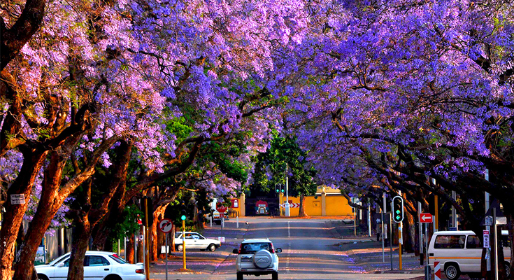 Pretoria