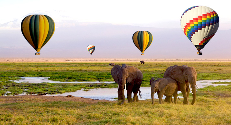 african safari tours luxury