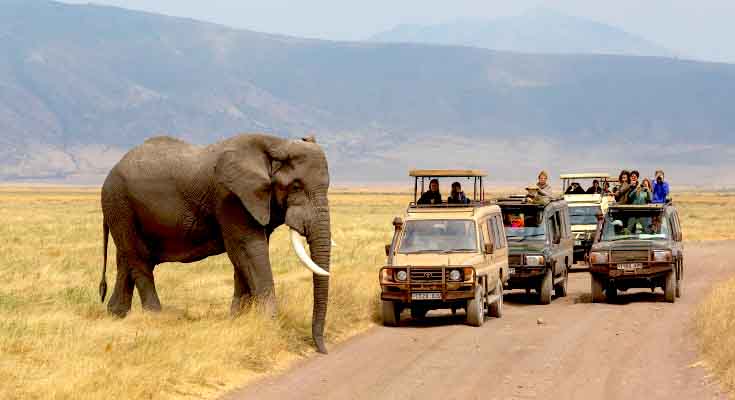 best place for tourism in africa
