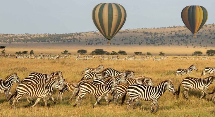 sky safari hot air balloon
