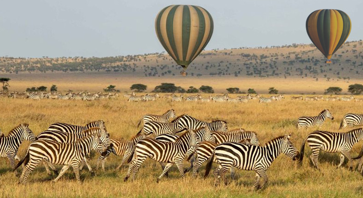 safaris serengeti