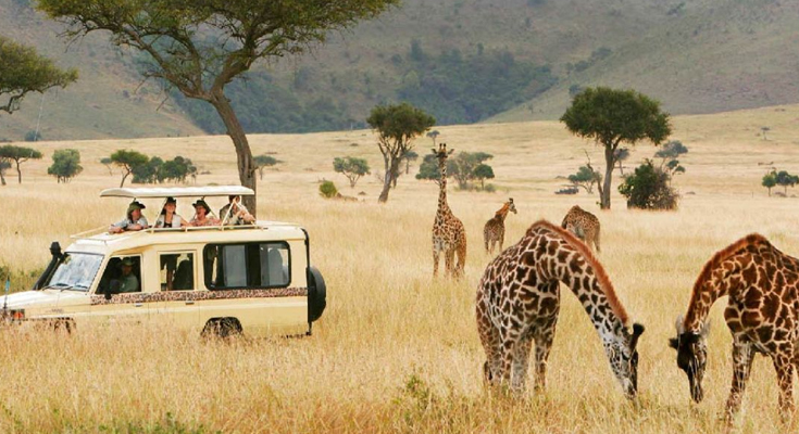 kruger game park tours