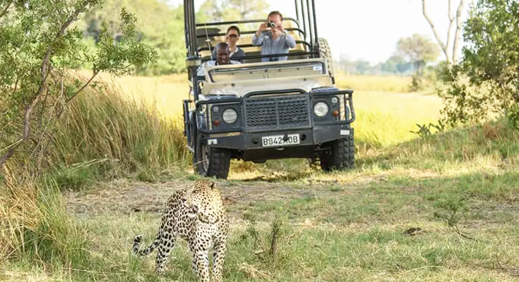 kruger game park tours