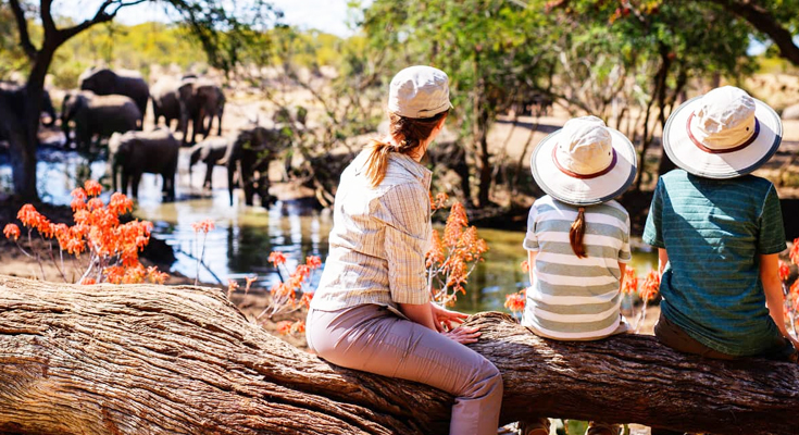 kruger game park tours